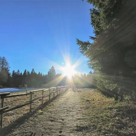 Lieblingsplatz * Goslar
